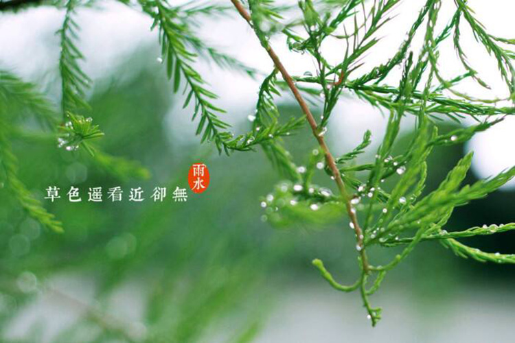 二十四节气之“雨水”，中华风水权威网